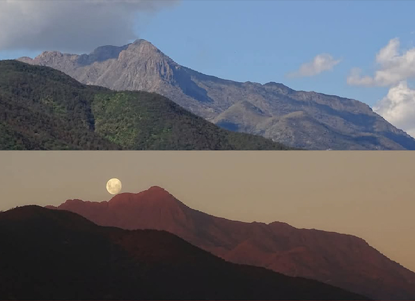 Victory for Chilean Defenders and La Campana-Peñuelas Biosphere Reserve