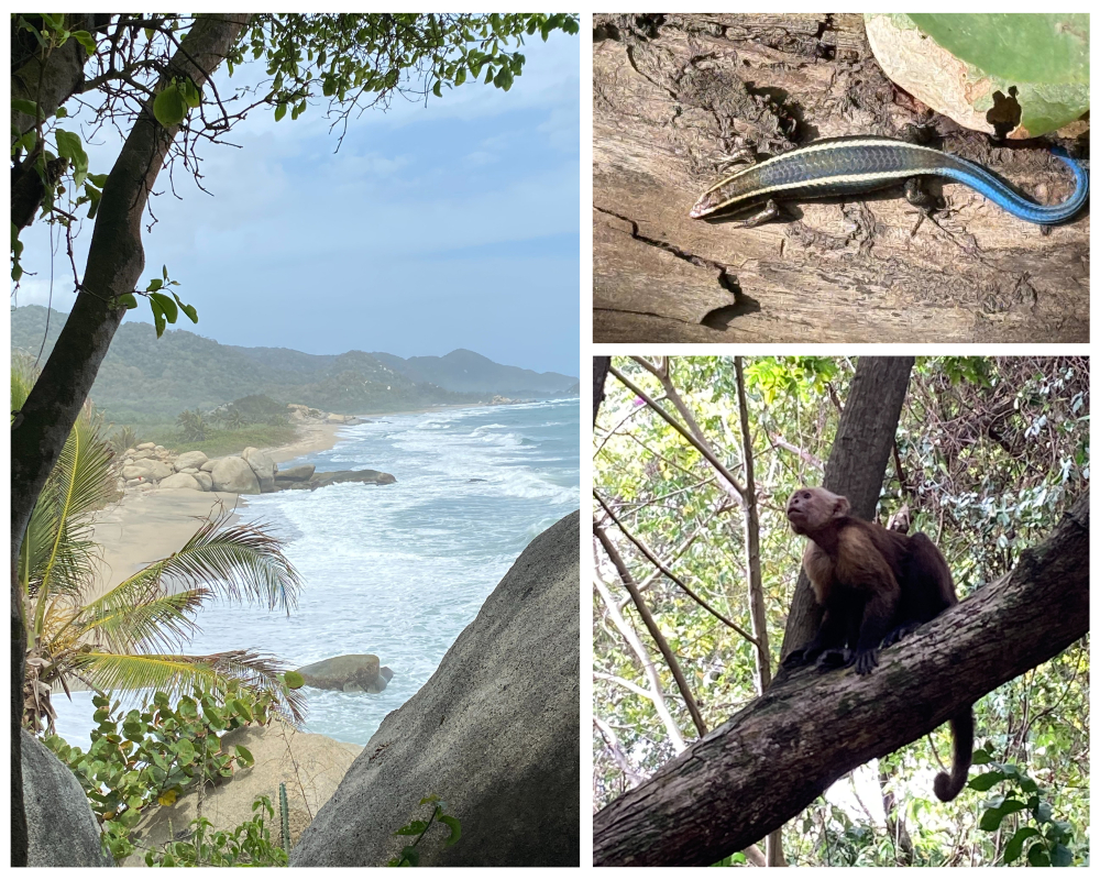Tayrona National Park, Magdalena, Colombia. PHOTOS: Karen Guillory and Alejandra Serrano