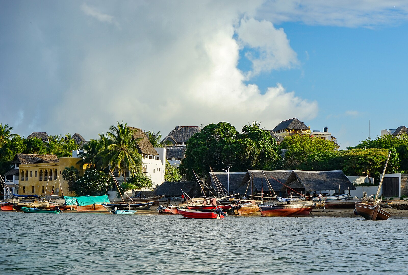 Lamu, Kenya Coal Power Plant, 2019